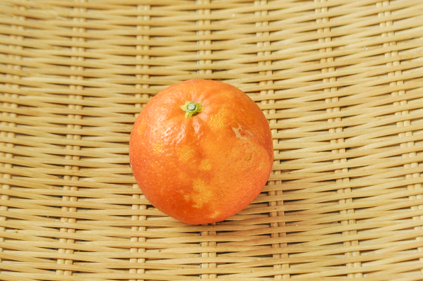西岩　ブラッドオレンジ（3Lサイズ）（国産）