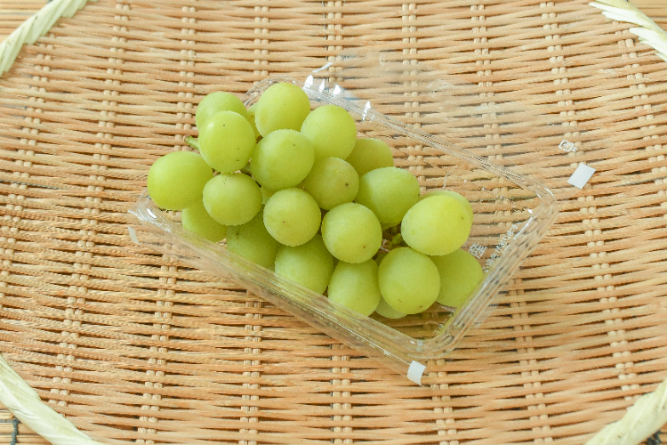 シャインマスカット（晴王）（8房サイズ）（秀） 【業務用食材の仕入れ