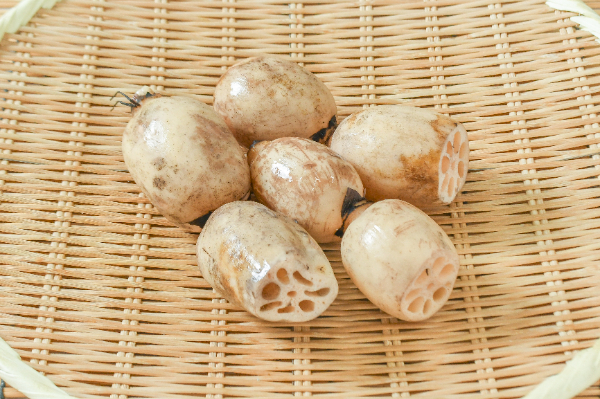 れんこん（2S）450gr