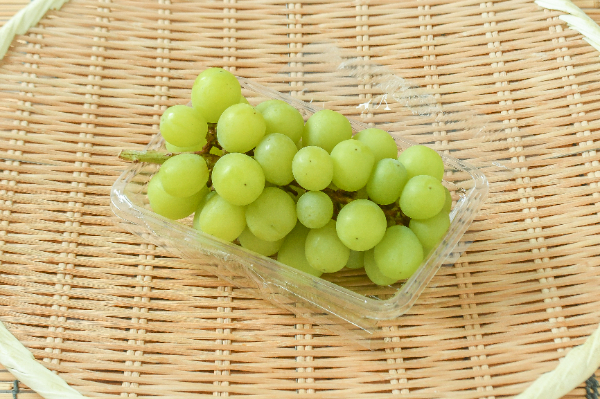 シャインマスカット　400gr