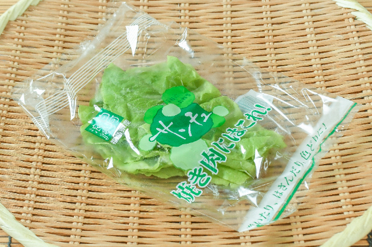 サンチュ 【業務用食材の仕入れなら八面六臂】