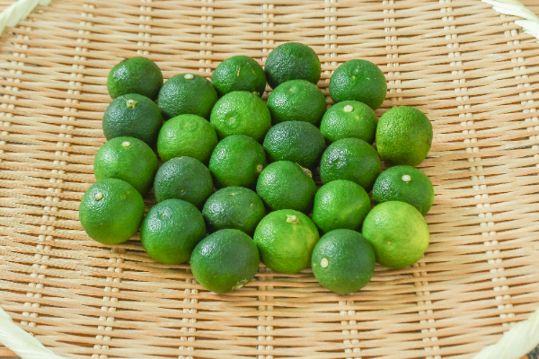 すだち（2L）