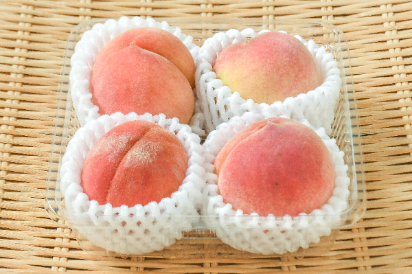あかつき　4玉入