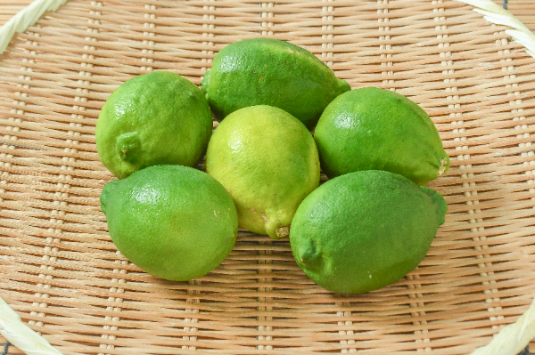 グリーンレモン（L）