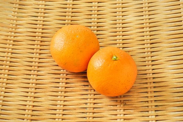 清見オレンジ（S）