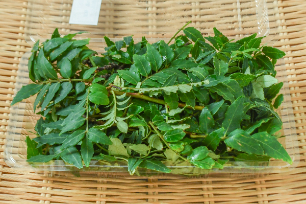 木の芽1キロ 木の芽 【業務用食材の仕入れなら八面六臂】