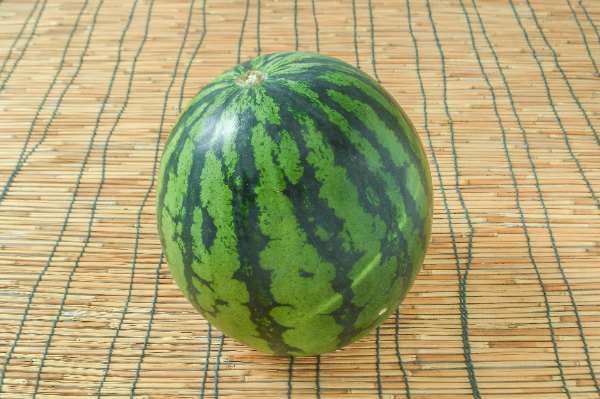 尾花沢すいか（BM）
