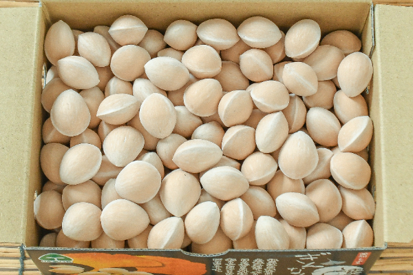 銀杏（L）500gr