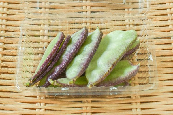 ふじ豆（千石豆）