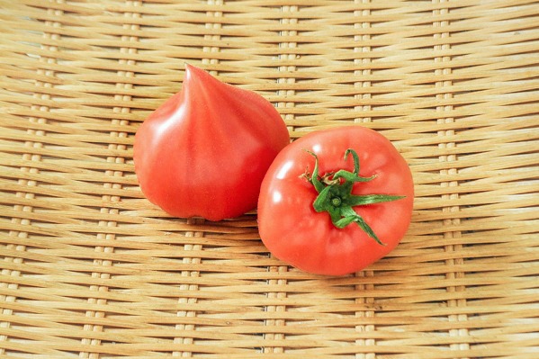 大玉トマト（ファースト）（20玉サイズ）
