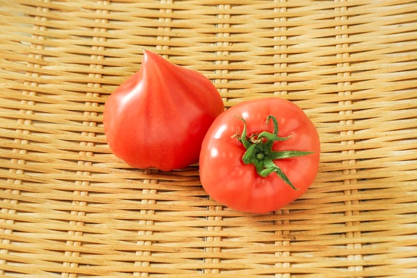大玉トマト（ファースト）（20玉サイズ）