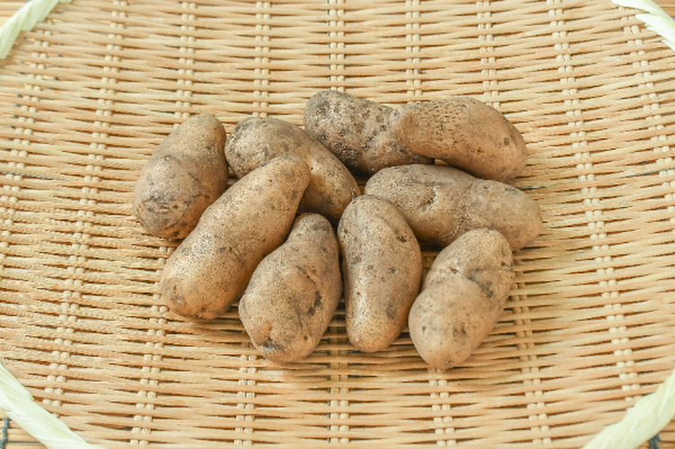 メークイン（S）500gr