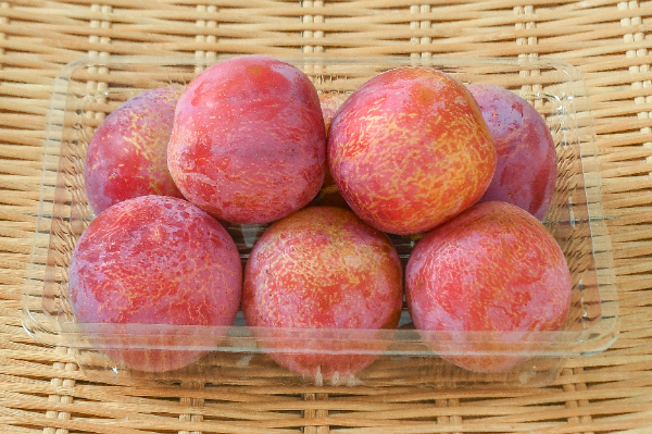 プラム（すもも） 【業務用食材の仕入れなら八面六臂】