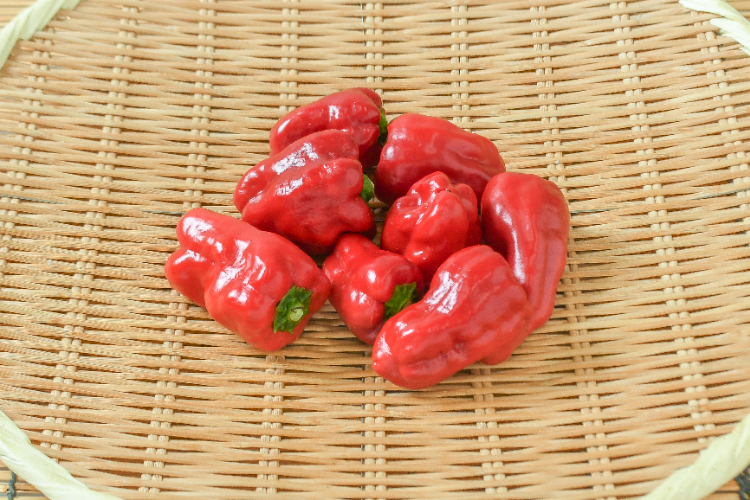 ピーマン 【業務用食材の仕入れなら八面六臂】