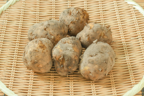 男爵薯（2L）1kg