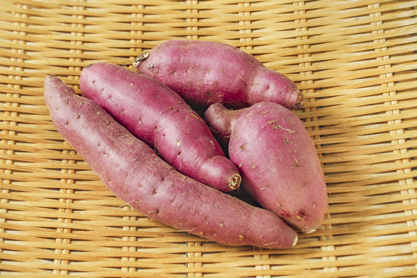 さつまいも 紅東 Bs 八面六臂