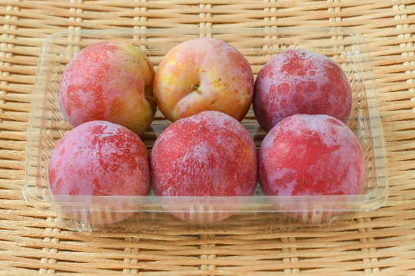 あんず（杏）（5玉サイズ） 【業務用食材の仕入れなら八面六臂】