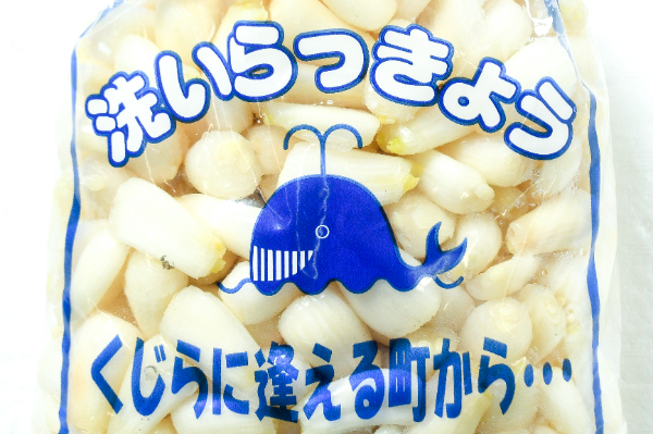 洗いらっきょう（M） (1)