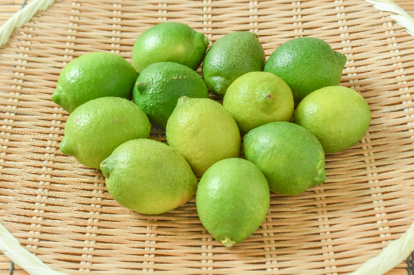 マイヤーレモン（グリーン）（M） 【業務用食材の仕入れなら