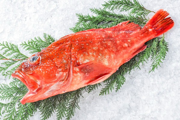 魚取り物