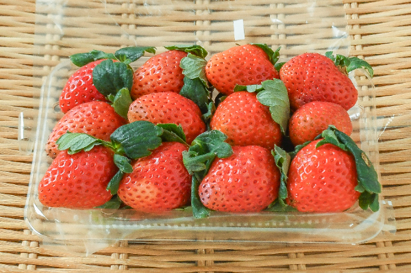 最安値❤ジャム加工用に❤さがほのかイチゴ6キロ　クール送料込12000→9000 さがほのか 【業務用食材の仕入れなら八面六臂】