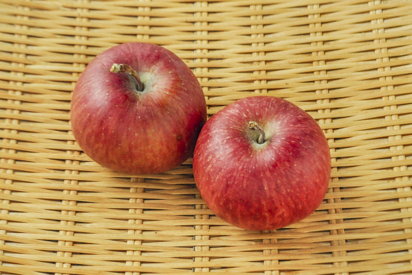 りんご（千秋）（50玉サイズ） 【業務用食材の仕入れなら八面六臂】