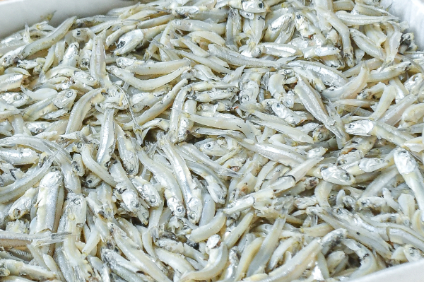 （小林水産）かえりしらす干し