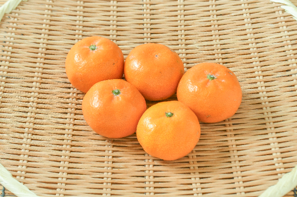 みかん（B品）（つぶし用） 【業務用食材の仕入れなら八面六臂】
