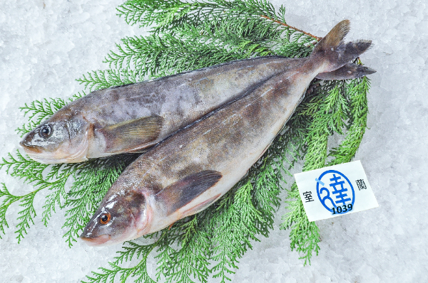 室蘭丸達水産　真ホッケ（北海道室蘭産）
