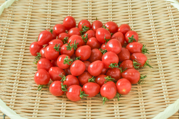 トマトベリー（S）500g
