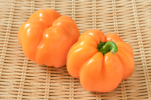 パプリカ（赤） 【業務用食材の仕入れなら八面六臂】