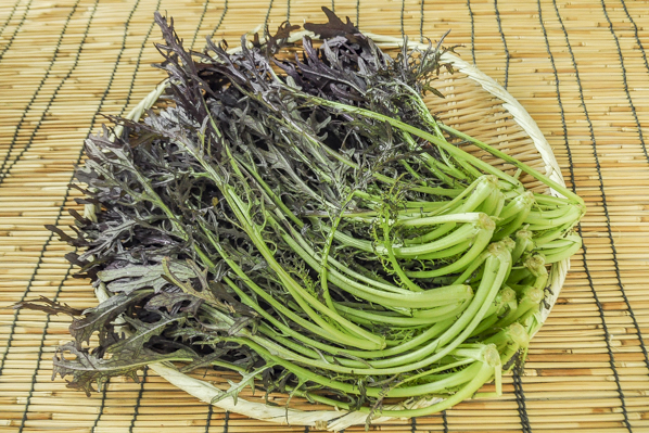 チャイナからし菜 八面六臂