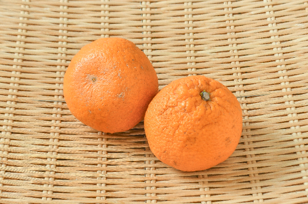 不知火（デコポン）（4L） 【業務用食材の仕入れなら八面六臂】