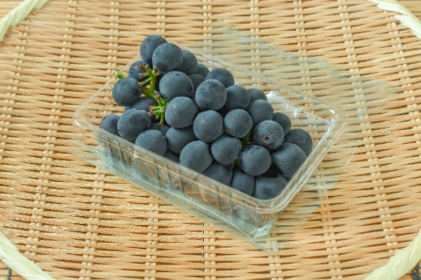 キャンベルス・アーリー（種あり） 【業務用食材の仕入れなら八面六臂】