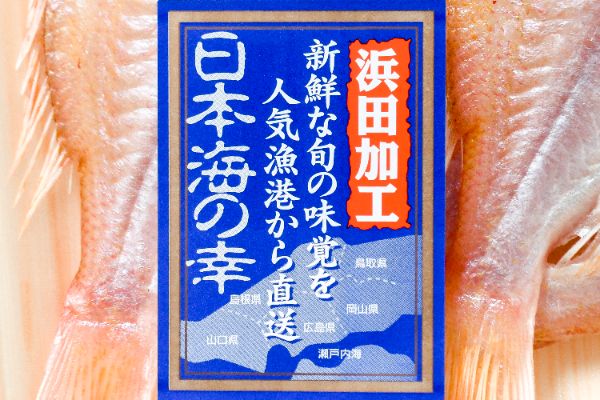 レンコダイ開き干し (1)