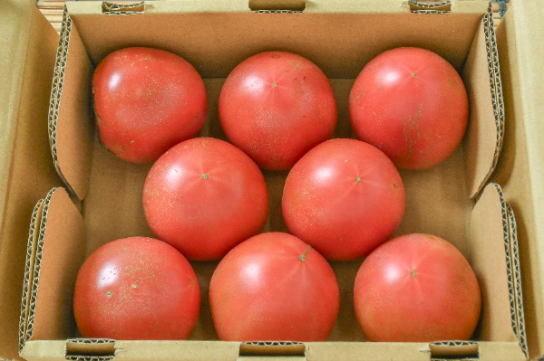 トマト（AL）（小箱）