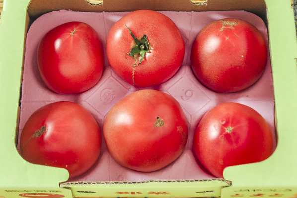 トマト（小箱）800gr