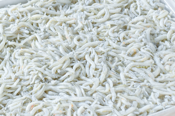 （テルニ商店）釜揚げしらす