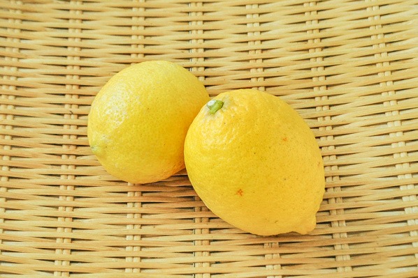 中島　中嶋さんのレモン（リスボン）（2L）