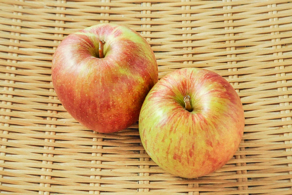 りんご（つがる）（40玉サイズ）