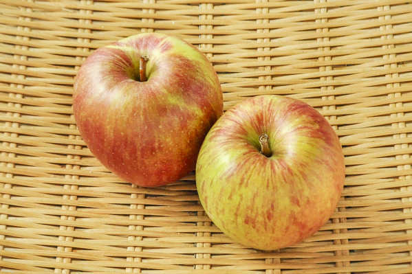 りんご（ふじ）（40玉サイズ）