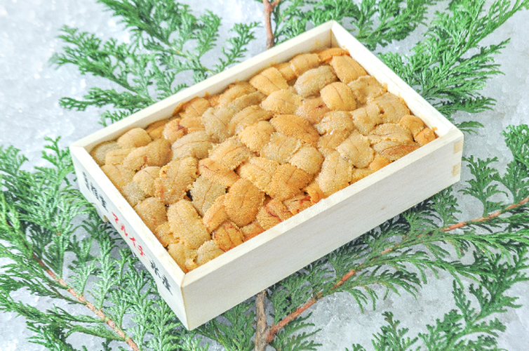 （株式会社マルイチ水産）ムラサキウニ（Aバラ）