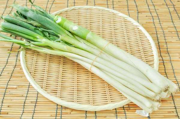 上州ねぎ（B） 【業務用食材の仕入れなら八面六臂】