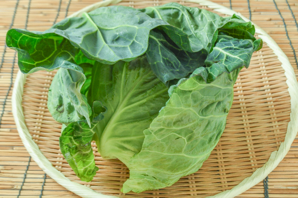 春キャベツ（8玉サイズ） 【業務用食材の仕入れなら八面六臂】