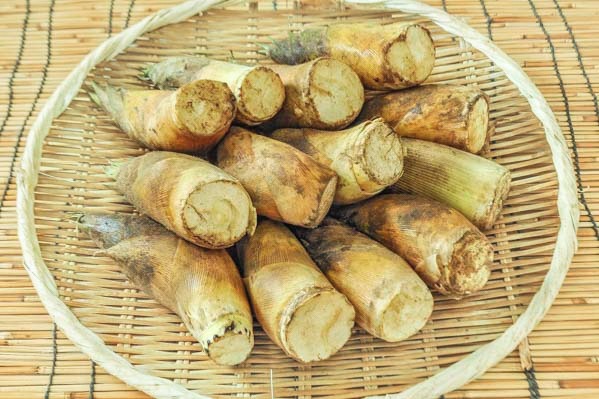 筍（たけのこ） 【業務用食材の仕入れなら八面六臂】