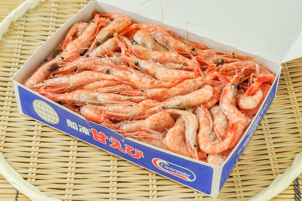 甘海老（MM）