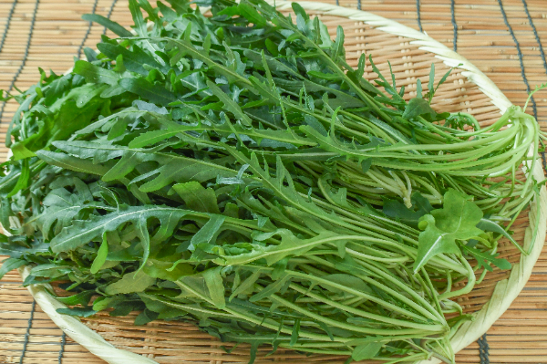 セルバチコ　500gr