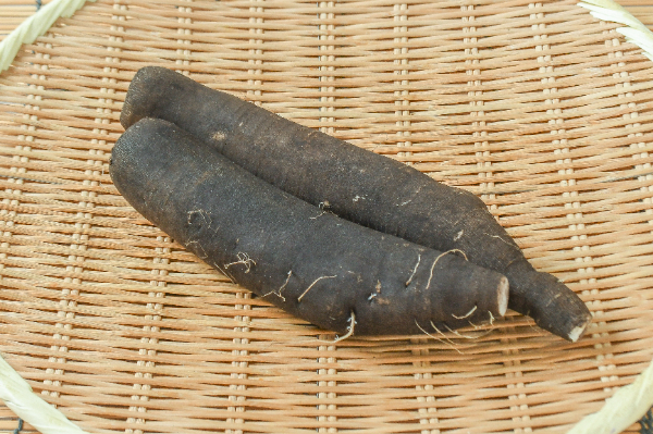 黒長大根　200-300gr