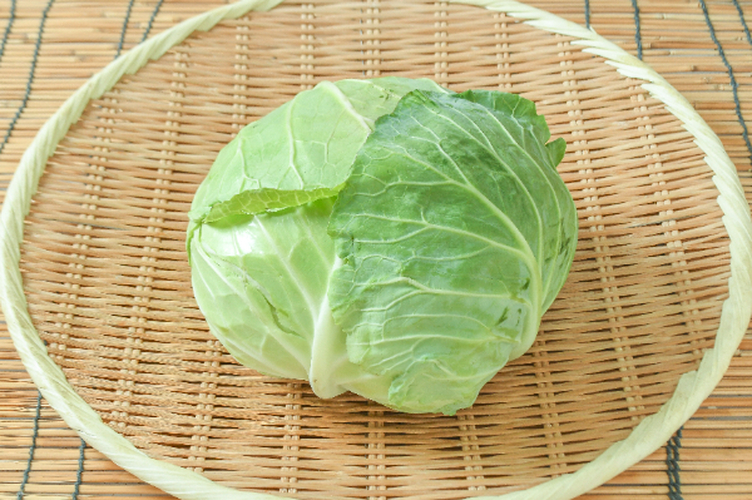 キャベツ（10玉サイズ） 【業務用食材の仕入れなら八面六臂】