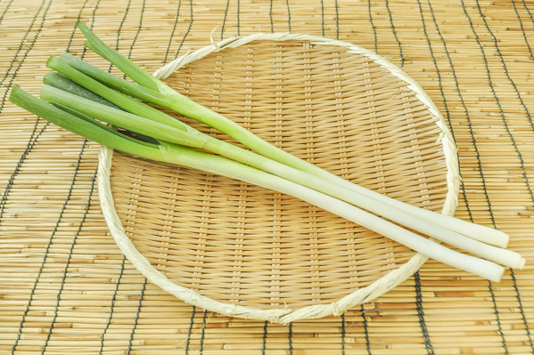 長ねぎ 細 八面六臂